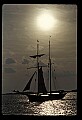 02500-00348-Florida Scenes.jpg