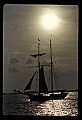 02500-00349-Florida Scenes.jpg
