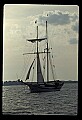 02500-00351-Florida Scenes.jpg