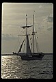 02500-00356-Florida Scenes.jpg