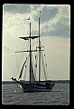 02500-00358-Florida Scenes.jpg