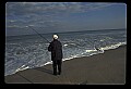02500-00361-Florida Scenes.jpg