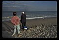 02500-00362-Florida Scenes.jpg