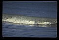 02500-00367-Florida Scenes.jpg