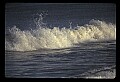 02500-00368-Florida Scenes.jpg
