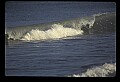 02500-00369-Florida Scenes.jpg