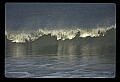02500-00371-Florida Scenes.jpg