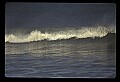 02500-00372-Florida Scenes.jpg