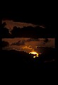 02500-00376-Florida Scenes.jpg