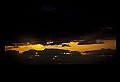 02500-00385-Florida Scenes.jpg
