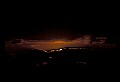 02500-00388-Florida Scenes.jpg