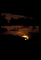 02500-00393-Florida Scenes.jpg