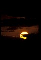 02500-00394-Florida Scenes.jpg