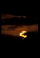 02500-00395-Florida Scenes.jpg