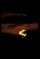 02500-00396-Florida Scenes.jpg