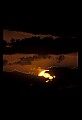02500-00398-Florida Scenes.jpg