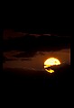 02500-00400-Florida Scenes.jpg