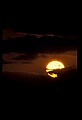 02500-00401-Florida Scenes.jpg