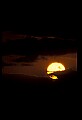 02500-00402-Florida Scenes.jpg