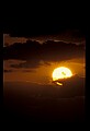 02500-00403-Florida Scenes.jpg