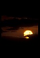 02500-00404-Florida Scenes.jpg