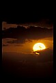 02500-00405-Florida Scenes.jpg