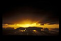 02500-00407-Florida Scenes.jpg
