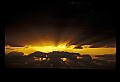 02500-00408-Florida Scenes.jpg