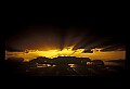 02500-00409-Florida Scenes.jpg