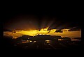02500-00410-Florida Scenes.jpg
