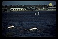 02500-00413-Florida Scenes.jpg