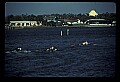 02500-00414-Florida Scenes.jpg