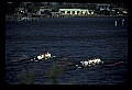 02500-00416-Florida Scenes.jpg