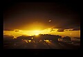 02500-00419-Florida Scenes.jpg