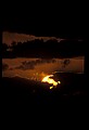 02500-00421-Florida Scenes.jpg