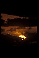 02500-00422-Florida Scenes.jpg