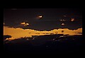02500-00425-Florida Scenes.jpg