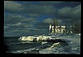 03101-00023-Point Betsie Lighthouse, Point Betsie, MI.jpg