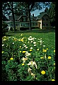 03150-00145-Michigan Cities-Towns.jpg