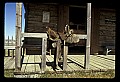 04302-00002-South Dakota Scenes.jpg