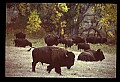 04301-00002-South Dakota State Parks.jpg