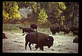 04301-00003-South Dakota State Parks.jpg