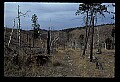 04301-00006-South Dakota State Parks.jpg