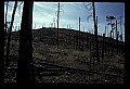 04301-00007-South Dakota State Parks.jpg