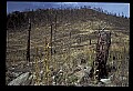 04301-00008-South Dakota State Parks.jpg