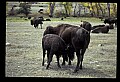 04301-00023-South Dakota State Parks.jpg