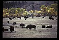04301-00045-South Dakota State Parks.jpg