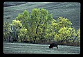04301-00049-South Dakota State Parks.jpg