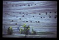 04301-00062-South Dakota State Parks.jpg
