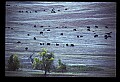 04301-00063-South Dakota State Parks.jpg